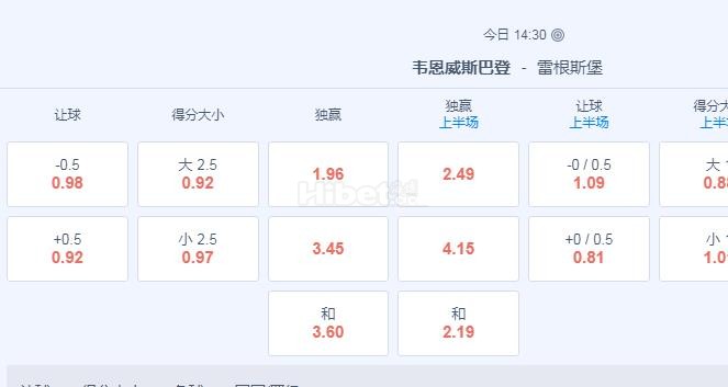 德乙 2：30 韦恩VS雷根斯堡